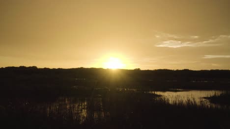 Regnerische-Everglades-Sonnenuntergang-Slough-Landschaft-Lebensraum