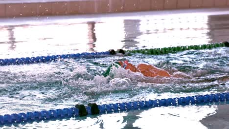 fit swimmer doing the back stroke in the swimming pool