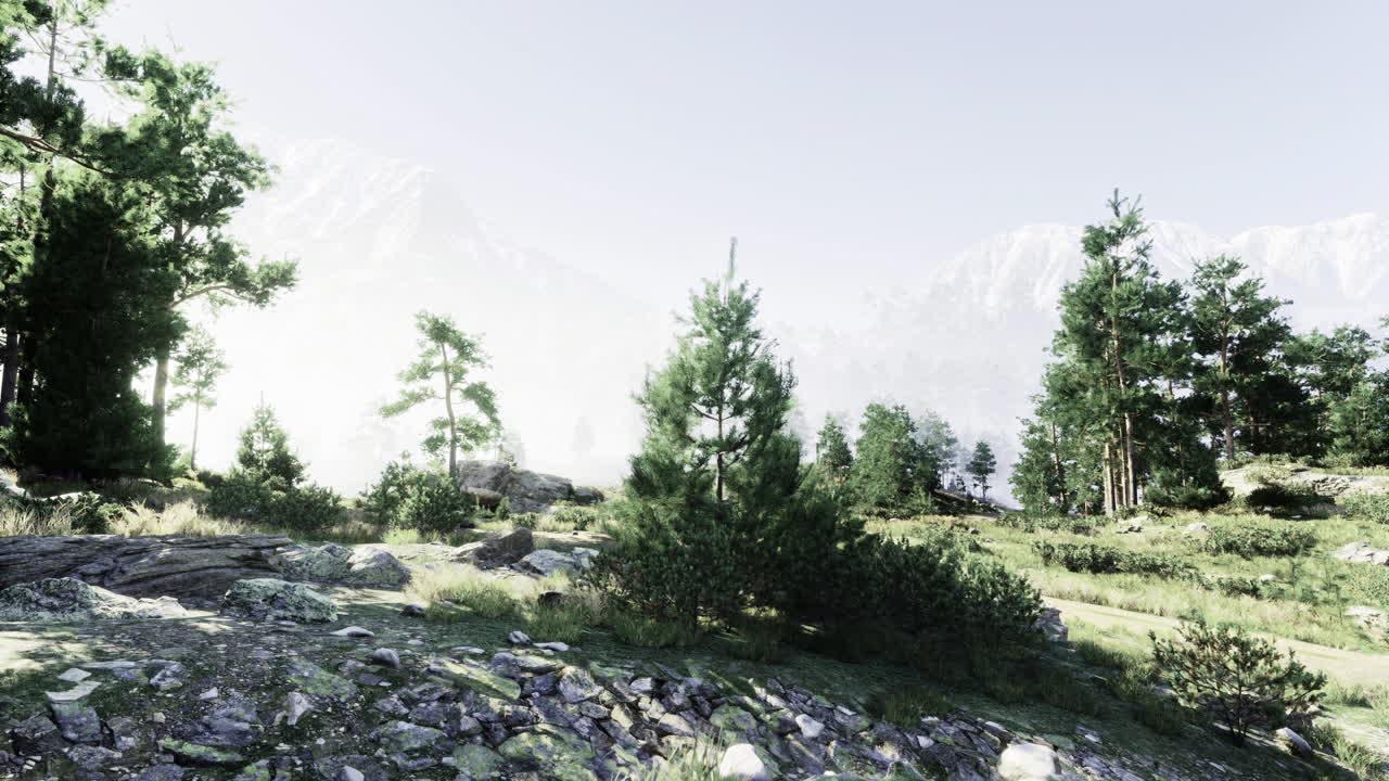 Scenic view of mountains and pine trees during a foggy morning