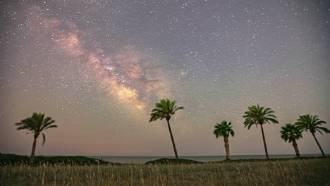 milky way timelapse above palm trees and grassy field with airplane light streaks