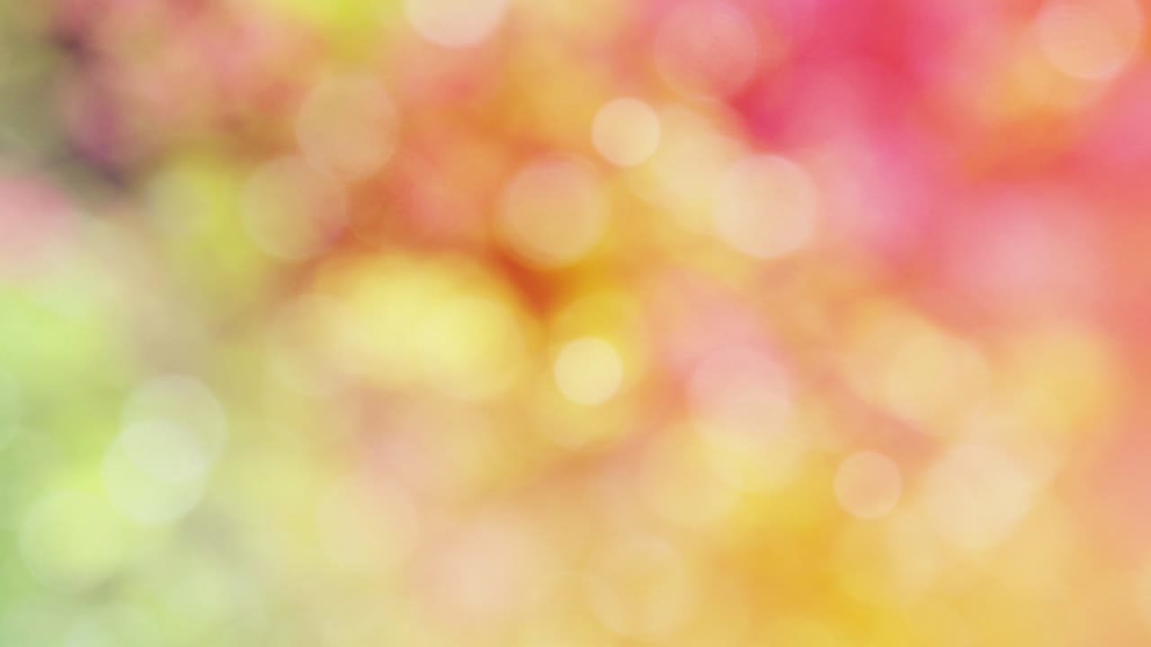 abstracto de fondo de otoño video bokeh