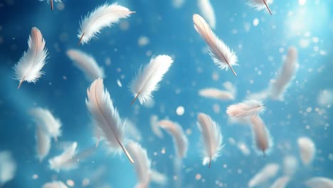 floating feathers in a blue background