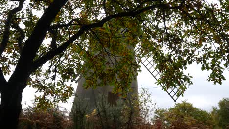 Bidston-hill-vintage-countryside-windmill-flour-disused-mill-English-landmark-view-through-bushes