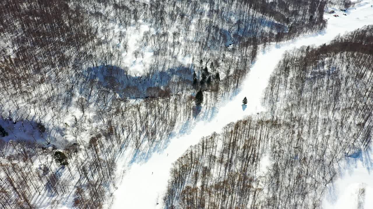 후쿠시마의 조감도