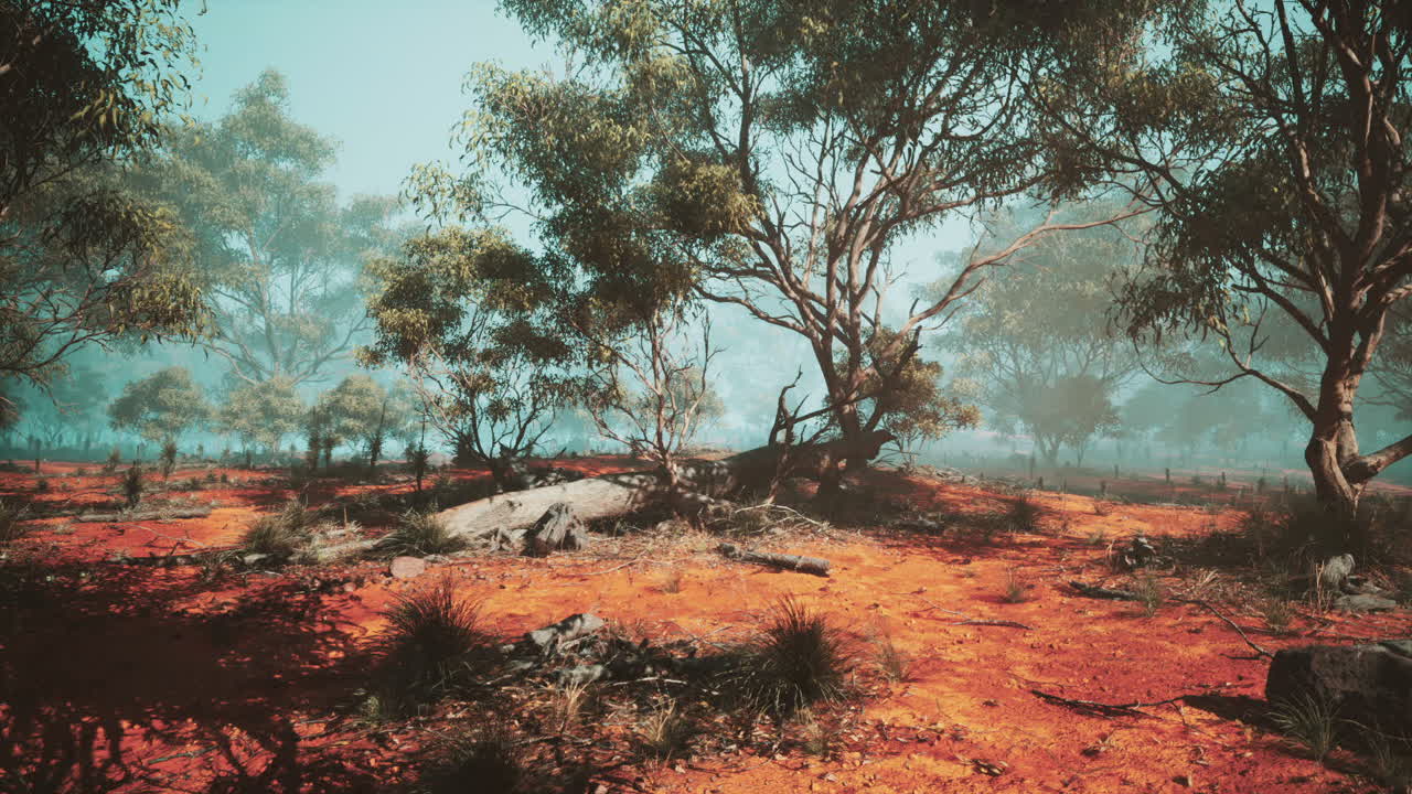 Paesaggio vibrante con terra rossa, vegetazione e rocce a mezzogiorno.