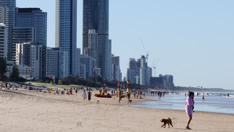 people and pets enjoying a sunny beach day