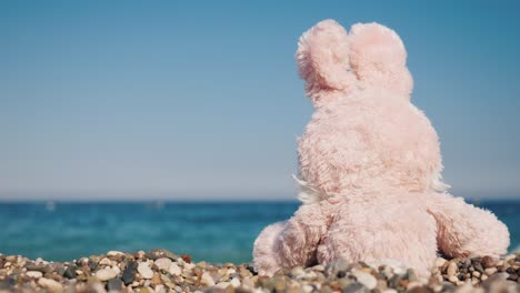 Rear view: The toy hare is resting on the seashore. Takes sun baths