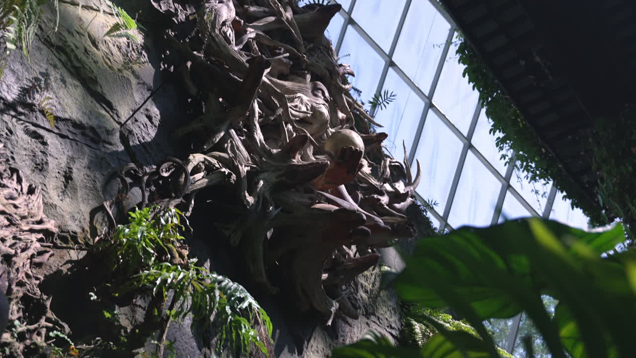 싱가포르의 만  ⁇ 의 정원에서 전시