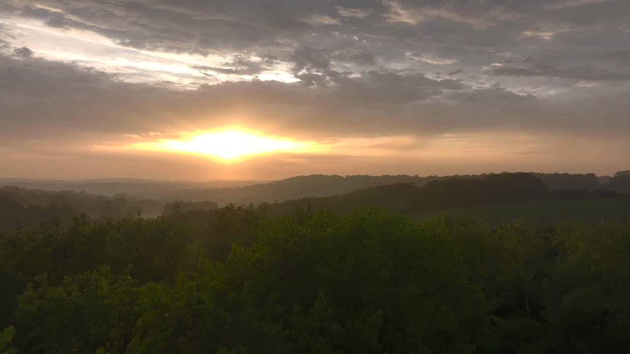 Dark woodland with camera rise and treetop flyover revealing Misty sunrise over lush fields and hedgerows of South West England. Summer. Cornwall, UK