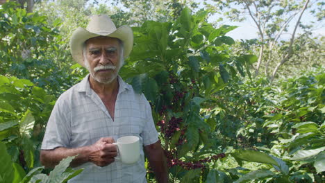 an elderly farmer drinking a cup of coffee in the middle of the actual coffee plantation field in el salvador