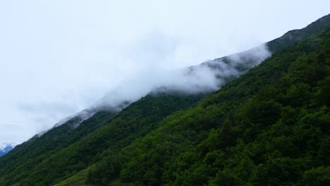 thick fog clings to the dense tree-covered ridges in a moody alpine scene. shot at villa di tirano, sondrio, italy (italia)