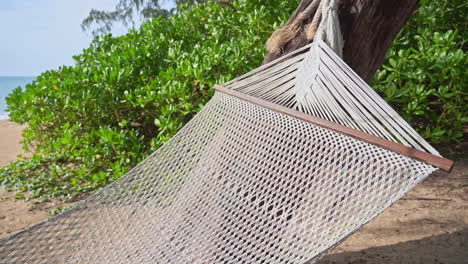 empty hammock net bed hanging on a tree on a sunny tropical beach, exotic travel concept, close up