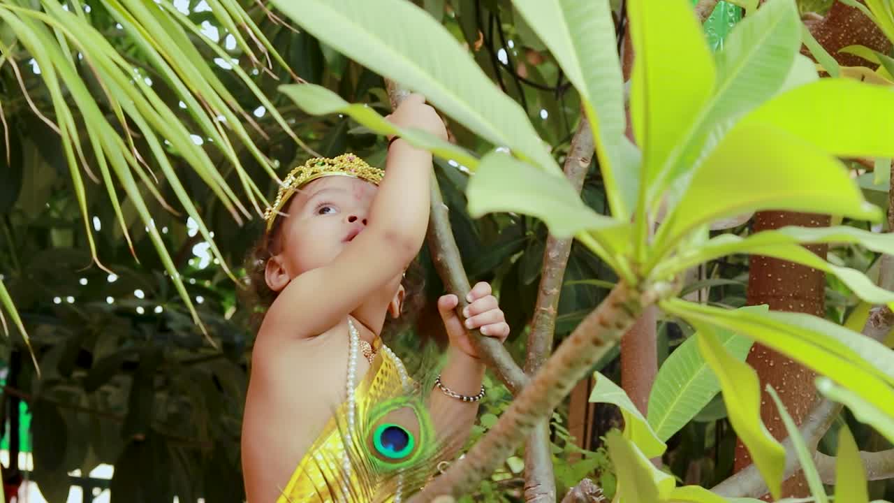 un bebé adorable vestido como el dios hindú Krishna con una linda expresión facial jugando en el árbol en Janmashtami