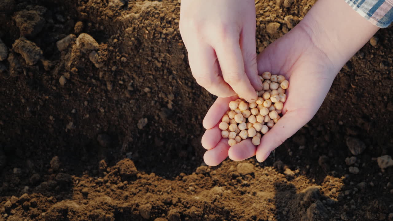 un granjero planta grano en su trabajo de campo en el jardín