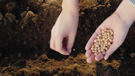 un granjero planta grano en su trabajo de campo en el jardín