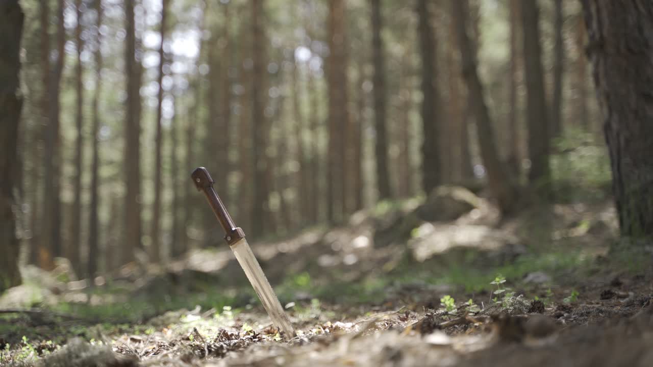 역사적인 도자기 검입니다.