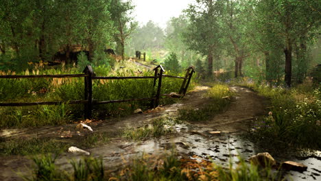 old-wooden-fence-and-hiking-path-through-forest