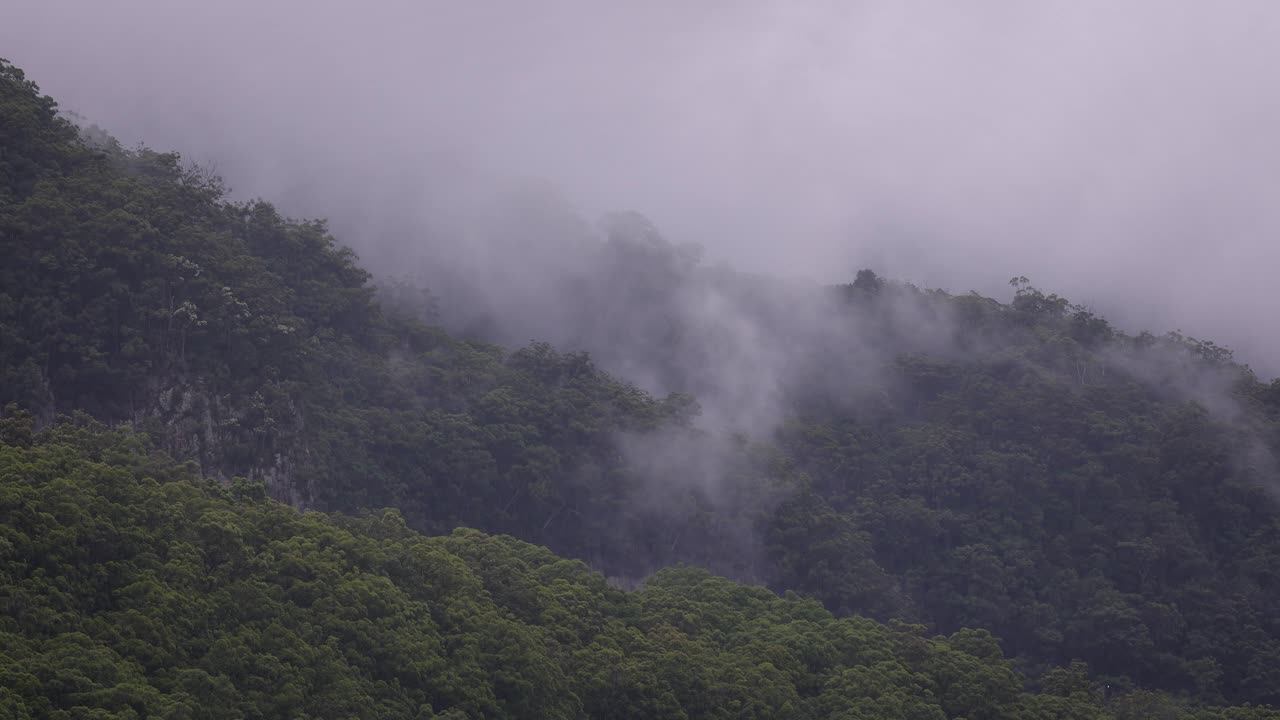 오스트레일리아 골드코스트 내륙의 누민바 계곡에서 구름과 비가 내리는 라밍턴 국립공원의 풍경