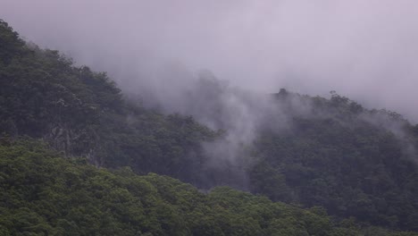 View-of-Lamington-National-Park-under-cloud-and-rain-from-Numinbah-Valley,-Gold-Coast-Hinterland,-Australia