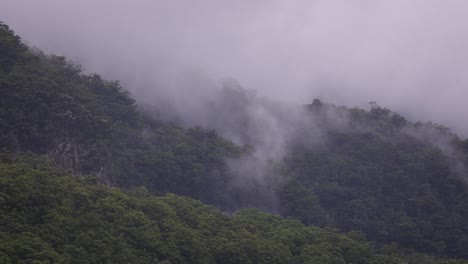 vista del parque nacional de lamington bajo nubes y lluvia desde el valle de numinbah, en el interior de gold coast, australia