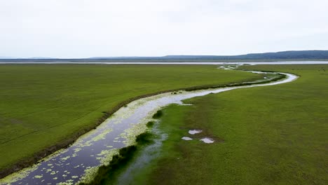 伊拉·拉拉羅 (ira lalaro) 廣<unk>的開放湿地平原,湖泊,溪流和河流景觀,在尼諾·科尼斯·桑塔納國家公園,東帝汶,空中無人機飛行在龐大息地