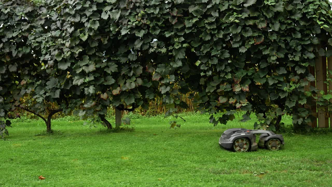 Panoramica orizzontale di un robot tagliaerba che taglia l'erba in un giardino moderno