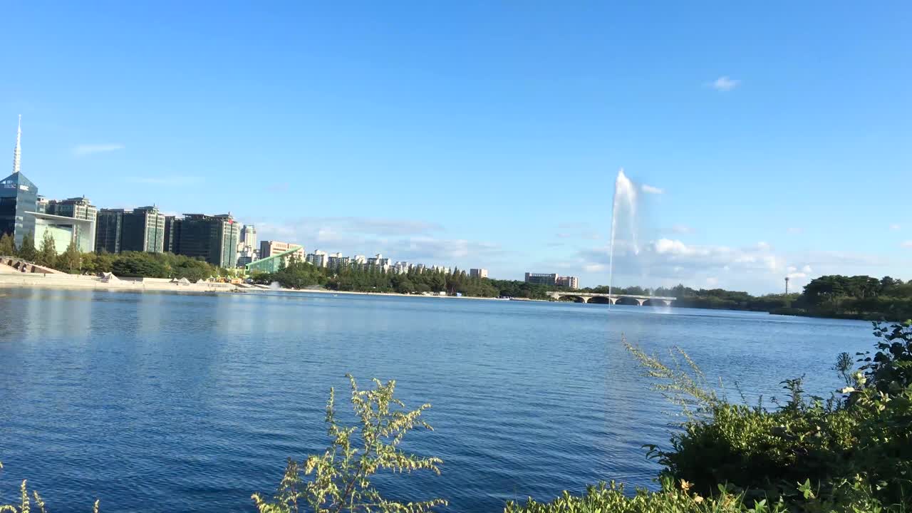 경기도 고양시 일산구 장항동 호수공원-5