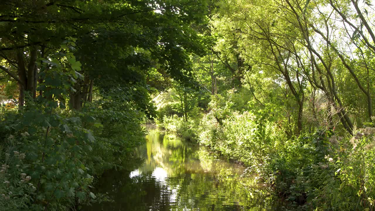 Camera slowly pans along tranquil, tree-lined canal with lush greenery and bright natural sunlight