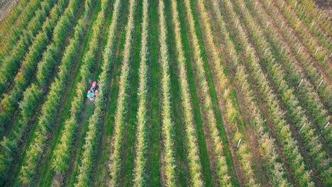 Crop-sprayer-traktor-spraying-pesticide-or-herbicides-field