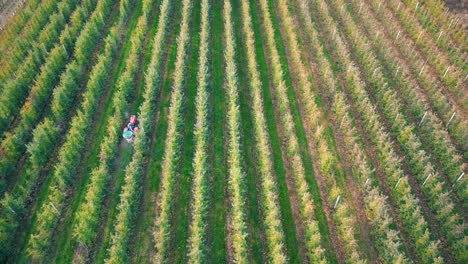 pulverizador de cultivos tractor pulverización de pesticidas o herbicidas campo