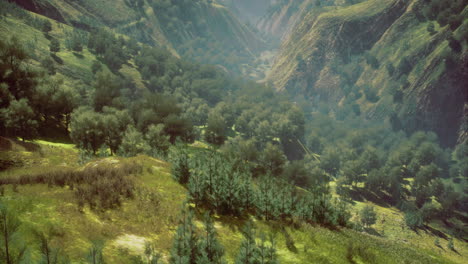 serene valley landscape with lush greenery and gentle slopes in golden light