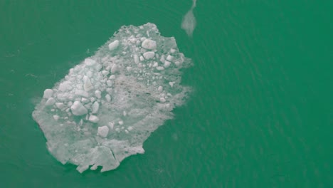 el hielo del glaciar derretido flota desde el fiordo ártico