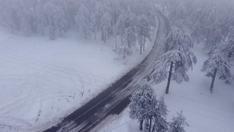 aerial view of an empty winter road winding through the trees of troodos mountain in cyprus