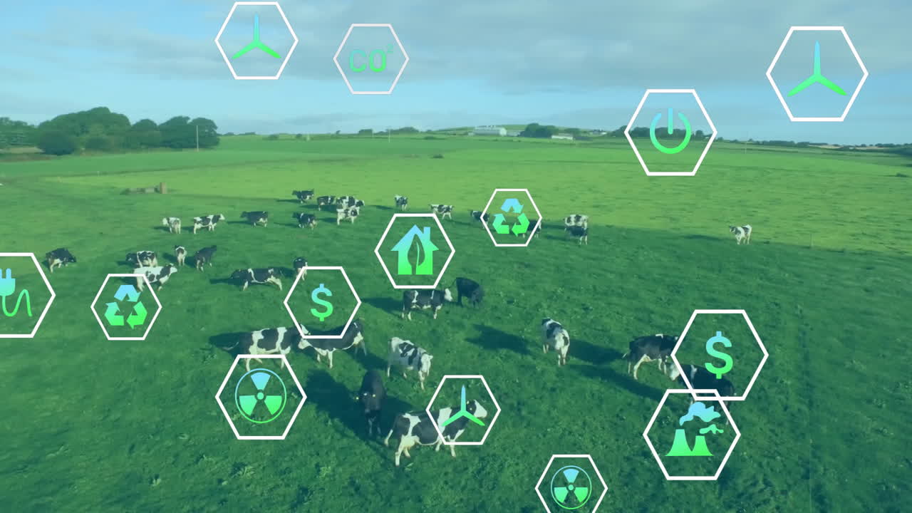 Cows grazing lush pasture, animated hex icons floating above with sustainability symbols