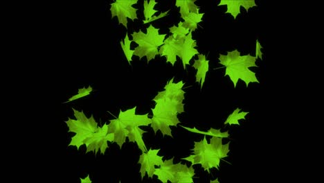 hojas de otoño cayendo animación de bucle de canal alfa 3d realista.