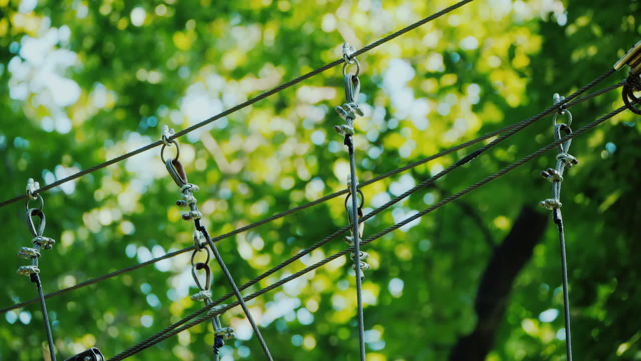 용감한 아이가 키 큰 나무 사이의 줄타기를 따라 걷는다 활동적인 어린 시절과 재미
