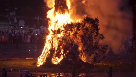 close up shot for the tree burning and everyone is waiting for the cross to fall to know the direction