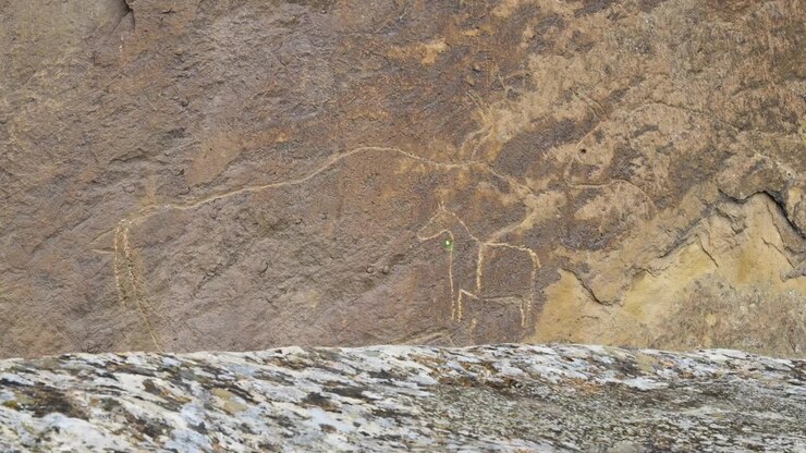 lose-up of prehistoric petroglyphs carved into rocks at Gobustan Rock Art Cultural Landscape