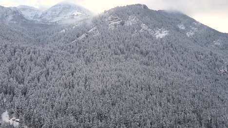 Mountainscape-Covered-With-Pine-Trees-During-Winter-At-American-Fork-Canyon-In-Wasatch-Mountains-Of-Utah,-USA