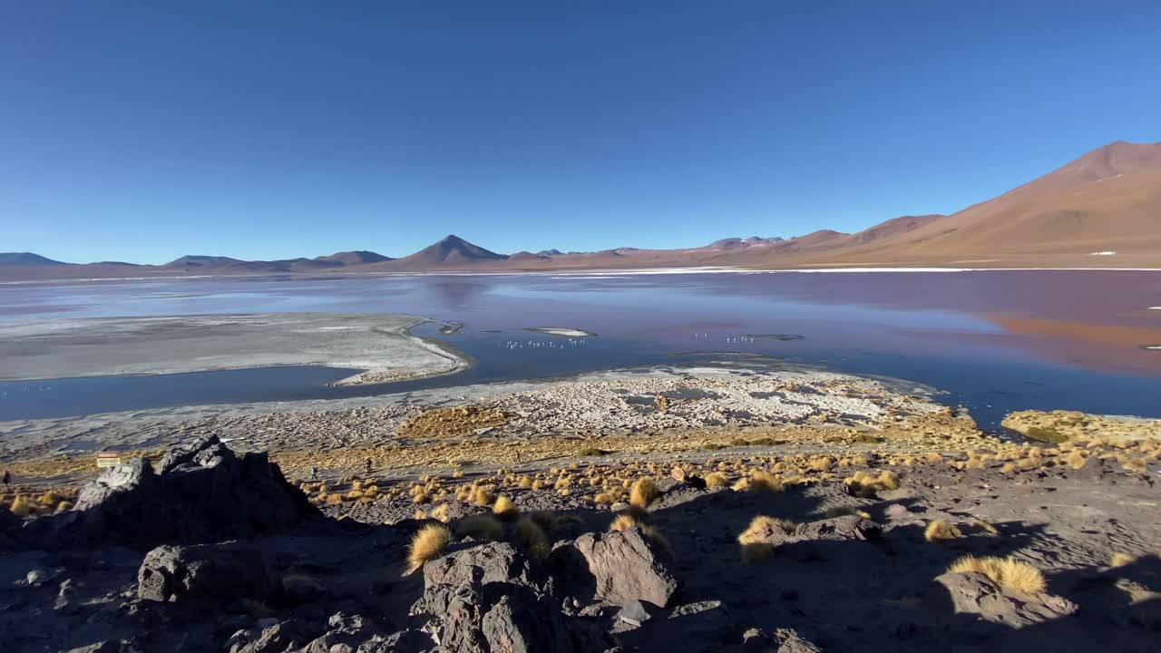 Laguna Colorada salt lake Bolivia Eduardo Avaroa Andean Fauna National Reserve nature landscape