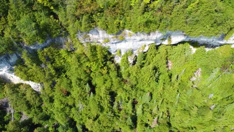 Vista-Superior-De-La-Densa-Naturaleza-Con-Acantilados-De-Piedra-Caliza-En-La-Bahía-Georgiana,-Ontario,-Canadá