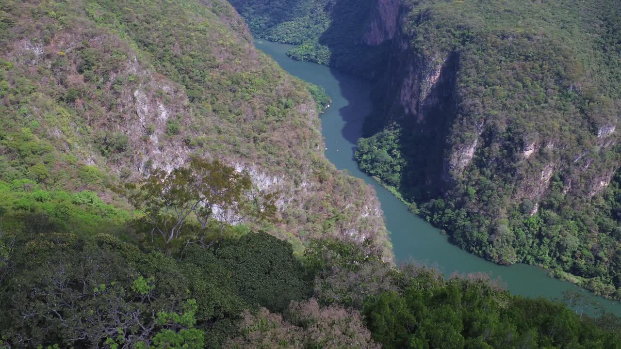 Plano aéreo de afastamento com árvores balançando ao vento e o rio Grijalva no Cânion do Sumidouro, Chiapas, México