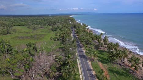 carretera entre palmeras a lo largo del océano, malecón de nagua, república dominicana