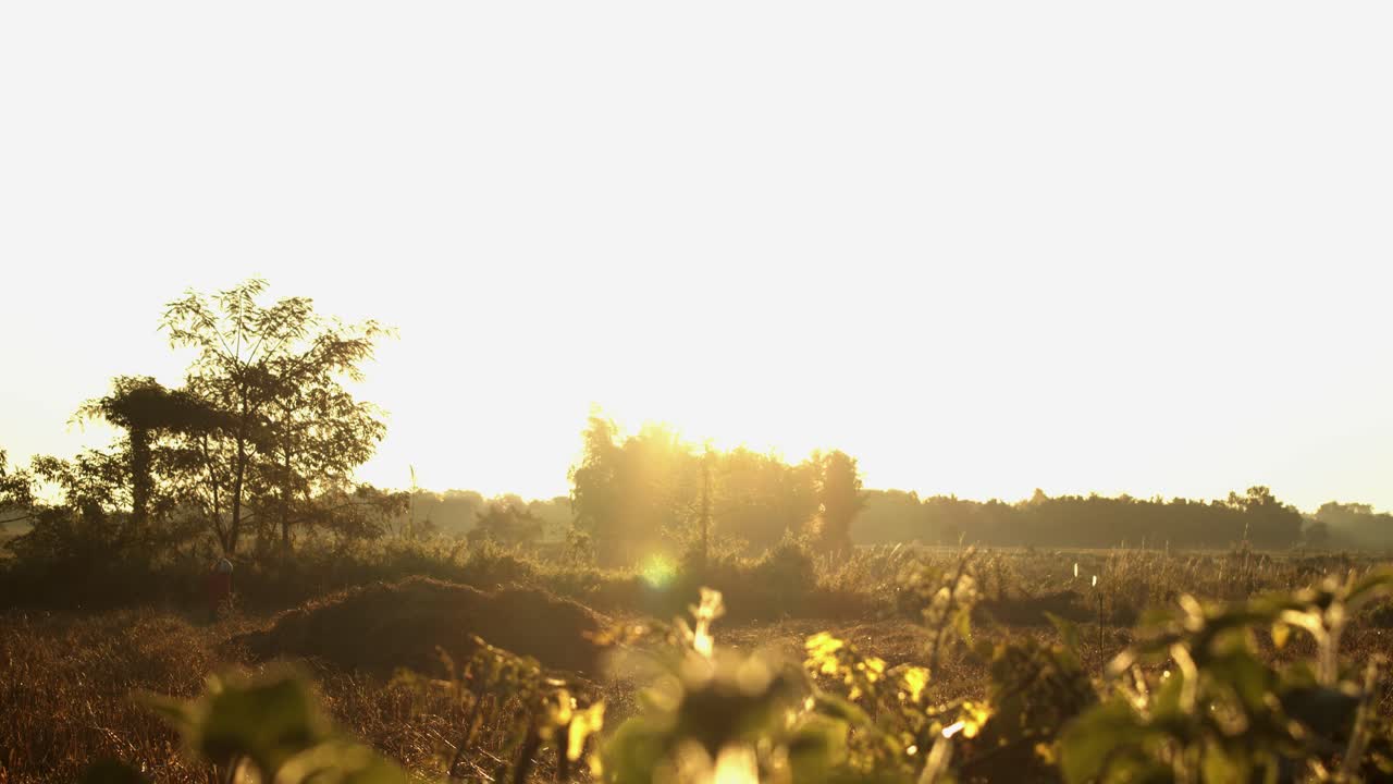 sesión de cámara aérea cinematográfica de amanecer