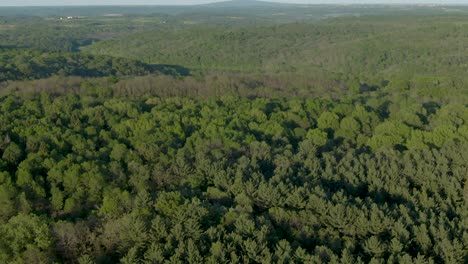 antena de inclinación que se eleva lentamente de colinas cubiertas de densos bosques en wisconsin durante un cálido día de verano al atardecer