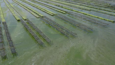 Austerngestelle-In-Einer-Aquakulturfarm-In-Der-Bretagne,-Frankreich