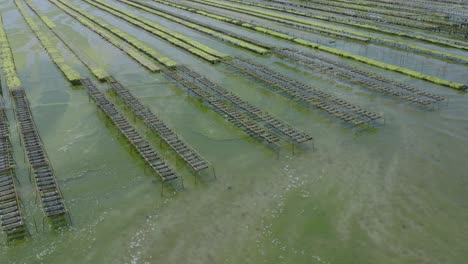 oyster racks in an aquaculture farm in brittany, france