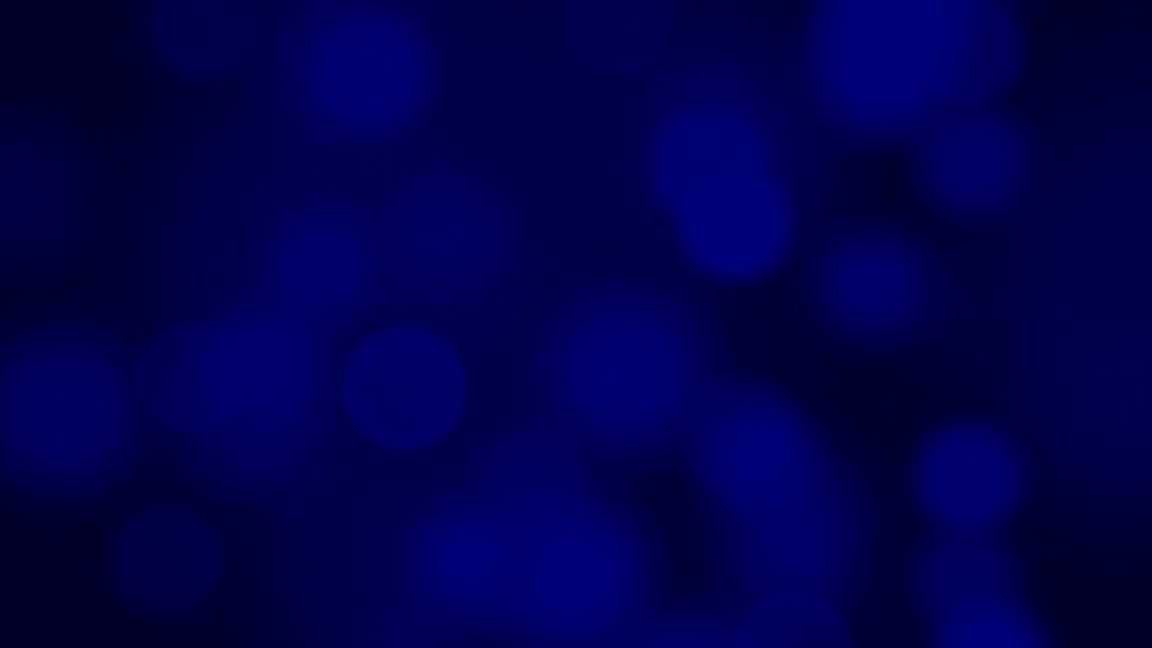 animación en bucle de bokeh colorido (azul profundo)