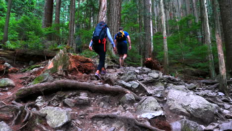 una pareja de excursionistas caminando en el bosque.