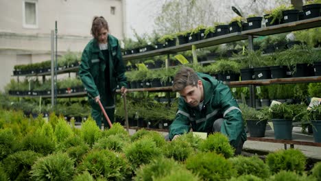 expertos en vegetación: cultivar la belleza y la calidad en el departamento especializado de flores y plantas